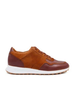 Sneakers SMITH Marron